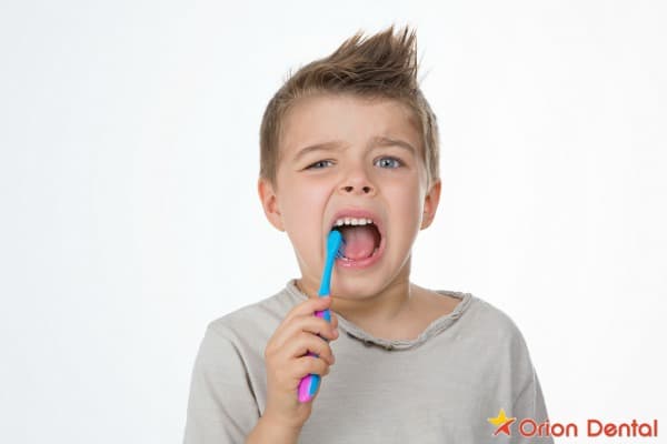 Stock image of a close-up of molar teeth