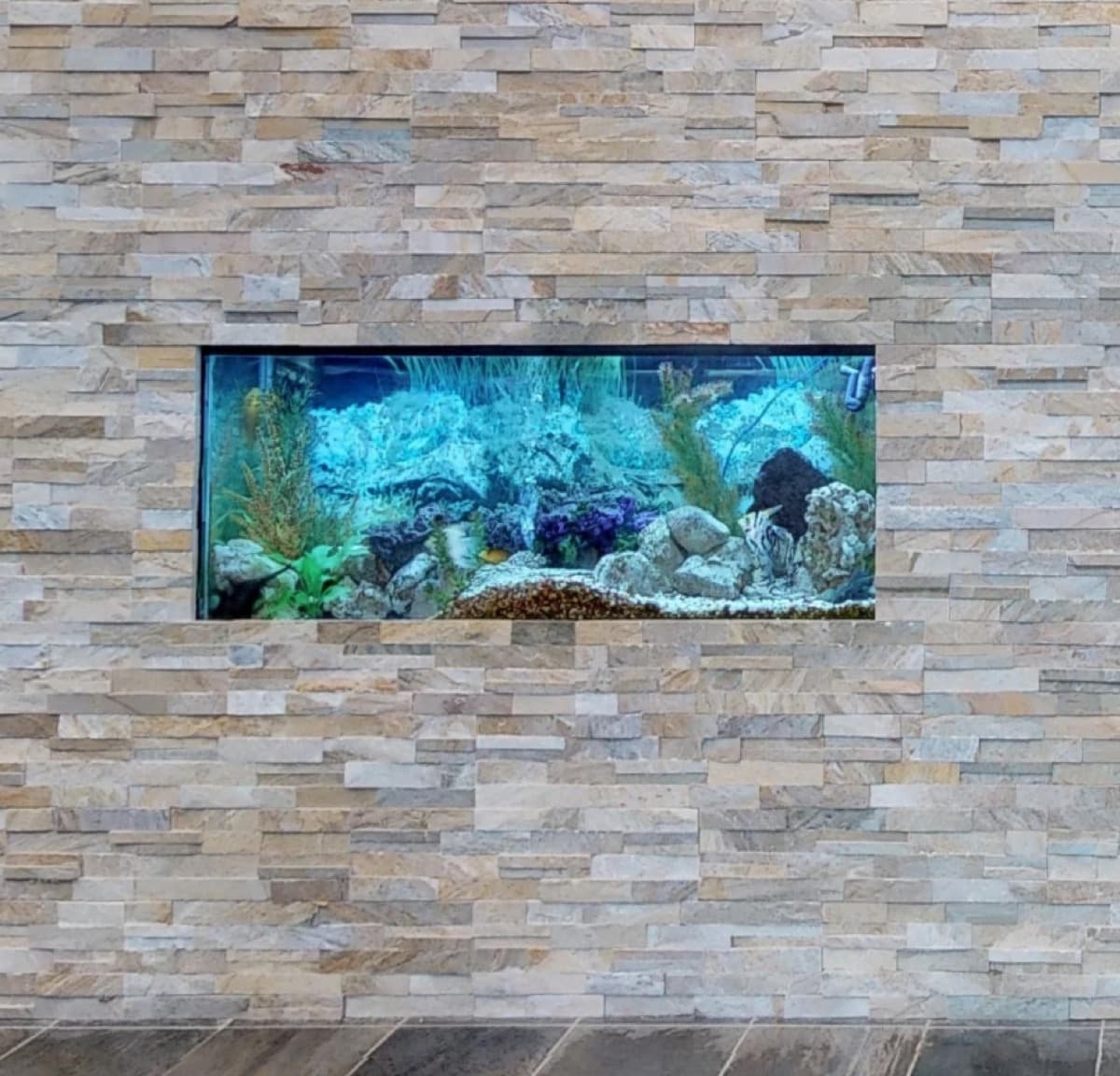 The aquarium set into the stone feature wall in the waiting area at Orion Dental Milton